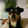 tim_winn - @tim_winn - TikTok