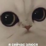 Tim Winner - @winner.tim - Instagram