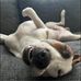 Timothy Winston - Facebook