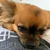 Tim Winter - @mycat.died - TikTok