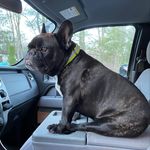 Tim Winton - @wintontim - Instagram