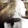 Tim Wiseman843 - @timwiseman843 - TikTok