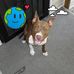 Tim Witcher - Facebook