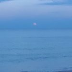 Tim Withrow - @tim.with.row - Instagram