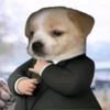 Timmy Witkowski - @timmywitkowski - TikTok