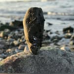 Tim Witt - @witt723 - Instagram