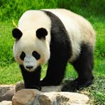 tim.witt - @tim.witt4766 - Instagram