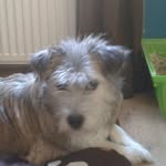 Tim Wittig - @timmi2004 - Instagram