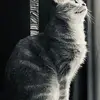 Tim Wittig - @timwittig91 - TikTok