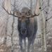 Tim Wixon - Facebook