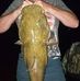 Tim Woerner - Facebook