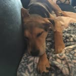 Timber Wofford - @timber_otis_wofford - Instagram