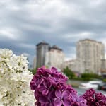 Meloza Legkodimov - @timwojciechowski928 - Instagram