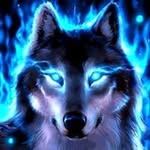 Tim Wojciechowski - @kyoyaiba - Instagram