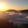 timwojcik - @timwojcik - TikTok