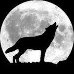 Tim Wolfe - @timberwolffurniture - Instagram