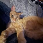 Tim wolfe - @timwolfe47 - Instagram