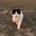 Sonalee Wolfenberger - @timberwolf_57 - Instagram