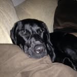 Timmy Wolfenberger - @timothywolfenberger - Instagram