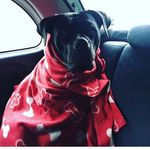 Tim wolff - @_tim_wolff_ - Instagram
