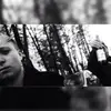 Tim Wolf - @wolfgang_tim - TikTok