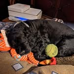 Tim Wolverton - @tim.wolverton - Instagram