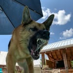 Tim Wolverton - @t.wolverton.1672 - Instagram