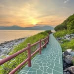 Tim Wong - @tim_wong643 - Instagram