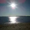 Tim Woodard905 - @timwoodard4 - TikTok