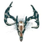 Tim Woodard - @tdwoodard3 - Instagram