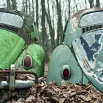 Tim Woodbridge - @tnwoodbridge - Instagram