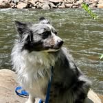 Tim Woodruff - @timwoodruff39 - Instagram