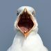 Tim Woodward - Facebook