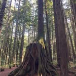 Tim Woodward - @tim.woodward.31 - Instagram