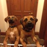 Tim Wooldridge - @trwooldridge - Instagram