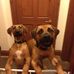 Tim Wooldridge - Facebook