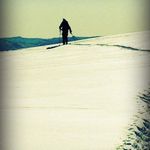Tim Woolley - @yellowmit1 - Instagram