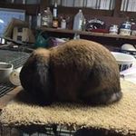 Tim Woolman - @timwoolman - Instagram