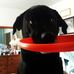 Tim Woolworth - Facebook