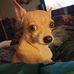 Tim Worden - Facebook