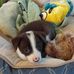Tim Worden - Facebook