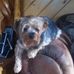 Timothy Worden - Facebook