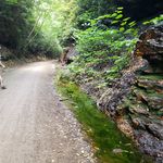 Tim Workman - @mtb_twork - Instagram