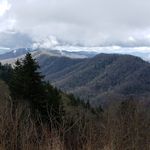 Tim Workman - @tim.workman.5648 - Instagram