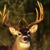 Timmy Workman - Facebook