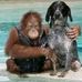 Tim Worthington - Facebook