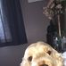 Tim Worthington - Facebook