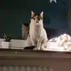 Tim Wortmann - @tim.wortmann0 - TikTok
