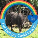 Tim Wragg - @twragg2 - Instagram