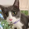 PipSmokey - @timwray94 - TikTok